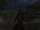 Morrowind 2011-01-22 02-06-30-53.jpg