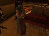 Morrowind 2011-01-18 20-17-22-03.jpg