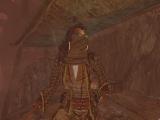 Morrowind 2011-01-22 01-59-38-46.jpg