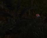Morrowind 2014-01-13 13-57-15-03.jpg