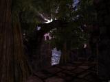 Morrowind 2011-02-02 21-55-20-00.jpg