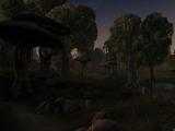 Morrowind 2011-02-23 20-09-46-00.jpg