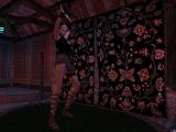 Morrowind 2011-02-02 01-26-06-32.jpg