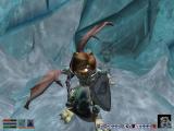 The Elder Scrolls 3 Morrowind 27.JPG