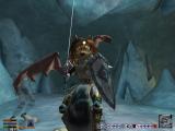 The Elder Scrolls 3 Morrowind 28.JPG