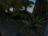 Morrowind 2011-03-10 01-49-35-20.jpg