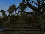 Morrowind 2011-03-10 02-31-19-20.jpg