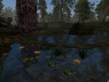 Morrowind 2011-03-10 01-45-13-25.jpg