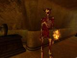 Morrowind 2011-04-06 06-01-14-06.jpg