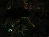 Morrowind 2011-04-06 04-22-29-12.jpg