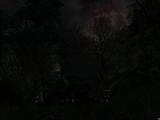 Morrowind 2011-04-06 04-28-44-98.jpg