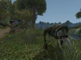 Morrowind 2012-04-14 12-53-23-78.jpg