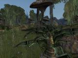 Morrowind 2012-04-14 12-58-37-59.jpg