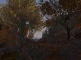 Morrowind 2012-04-14 13-07-08-43.jpg