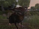 Morrowind 2012-04-14 00-34-33-42.jpg