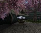 Morrowind 2012-04-25 20-11-04-65.jpg
