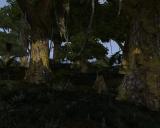 Morrowind 2012-04-26 13-41-27-25.jpg