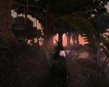 Morrowind 2012-04-26 13-39-45-18.jpg