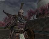 Morrowind 2012-04-25 20-06-04-13.jpg