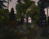 Morrowind 2012-04-26 00-23-06-68.jpg