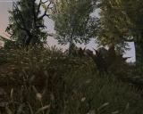 Morrowind 2012-08-03 13-28-31-64.jpg