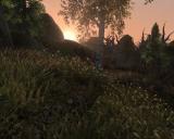 Morrowind 2012-08-03 13-27-02-03.jpg