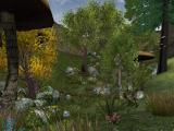 Morrowind 2010-11-24 05-04-56-42.jpg