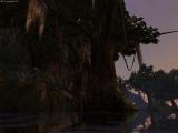 Morrowind 2012-10-31 23-56-49-65.jpg