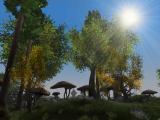 Morrowind 2010-11-24 23-45-45-03.jpg