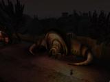 Morrowind 2010-11-24 23-37-20-95.jpg