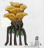 Mushroom_tree_1_by_Tamriel_Rebuilt.jpg