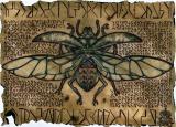 Scarab_Schematic_by_Badhead_Gadroon.jpg