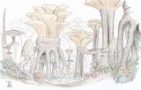 Mushroom_forest_by_Tamriel_Rebuilt.jpg