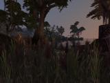 Morrowind 2012-04-14 13-09-27-09.jpg