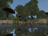 Morrowind 2012-04-06 00-04-15-51.jpg