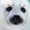 Angry_Seal