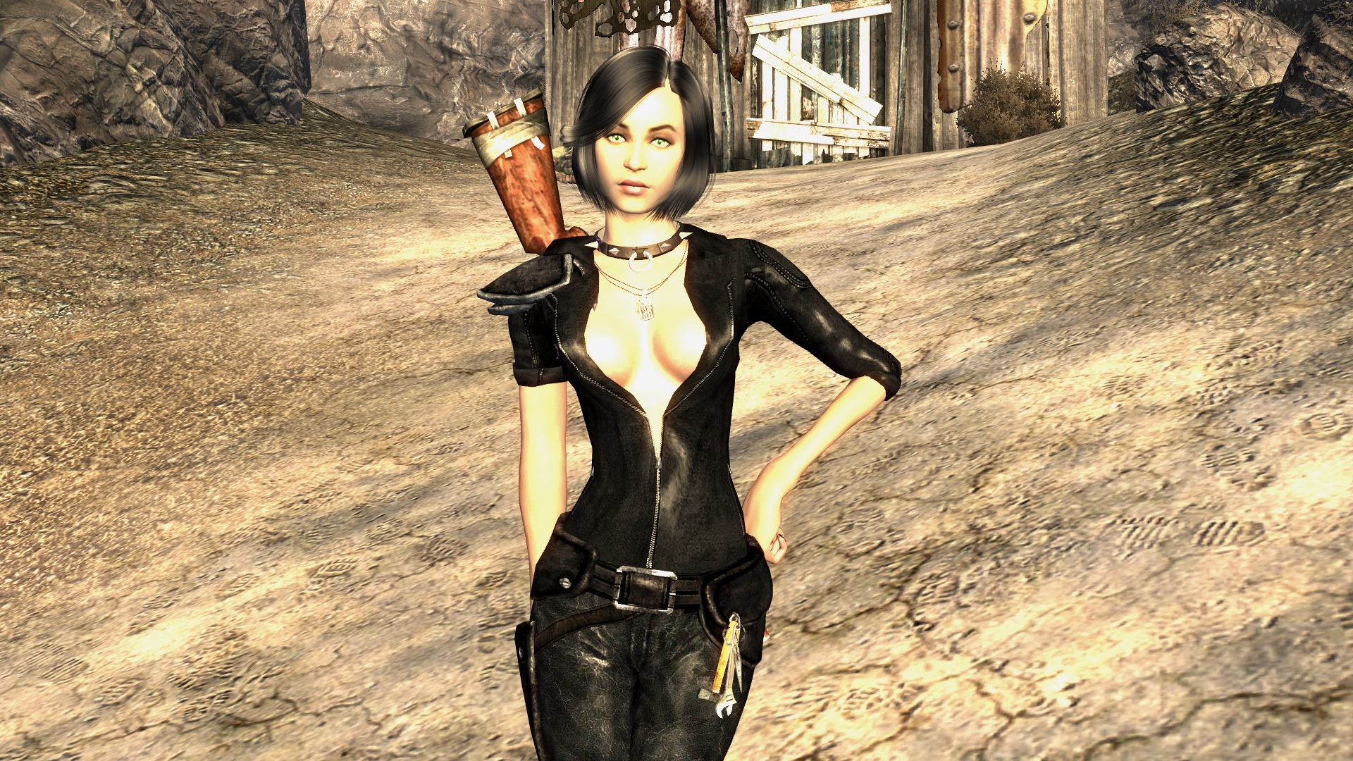 Fallout 3 fallout new vegas fallout 4 фото 23