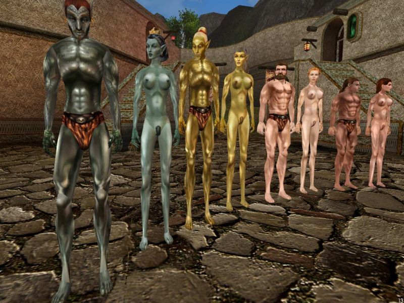 Look Morrowind Patch Better Bodies. 