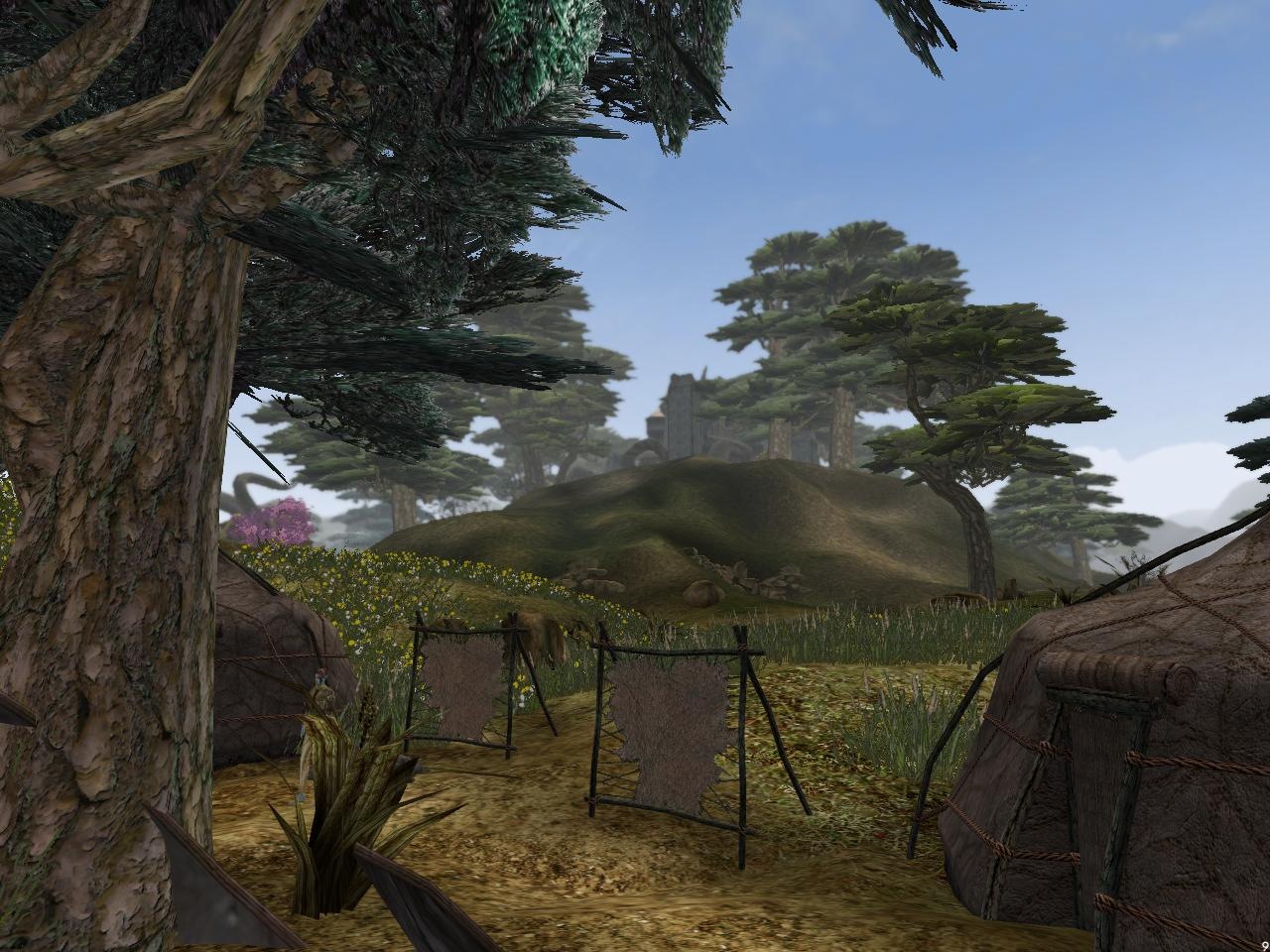 Morrowind graphics extender steam фото 6