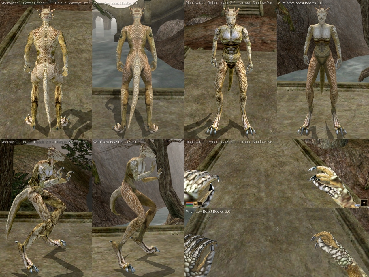 Новые тела зверорас Elder Scrolls 3: Morrowind. 