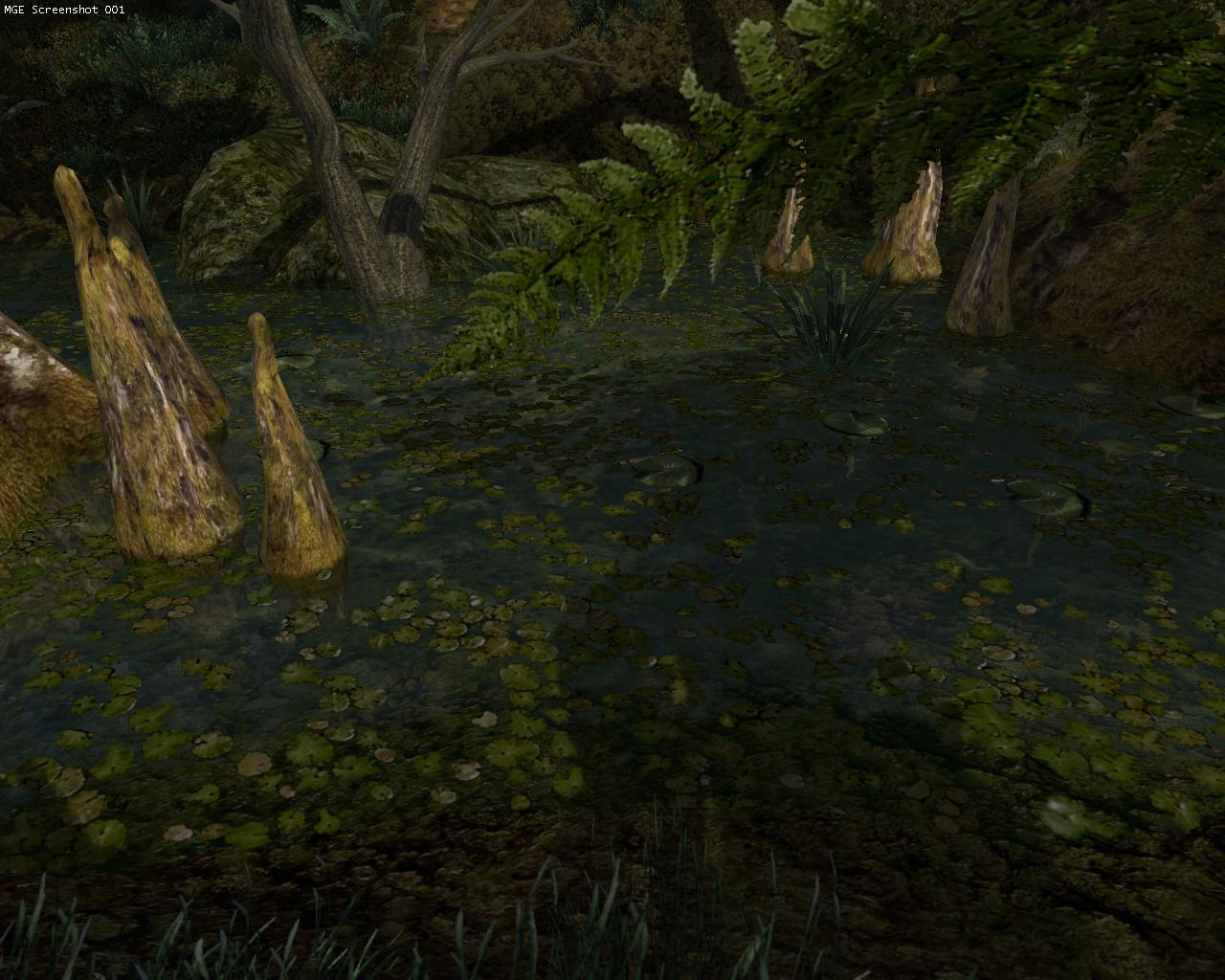 Прозрачные текстуры болот - Elder Scrolls 3: Morrowind