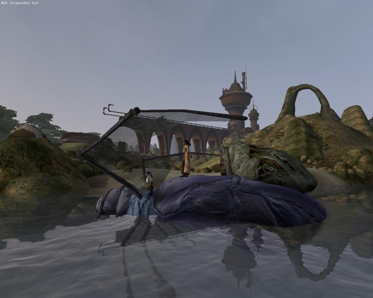Morrowind graphics extender steam фото 49