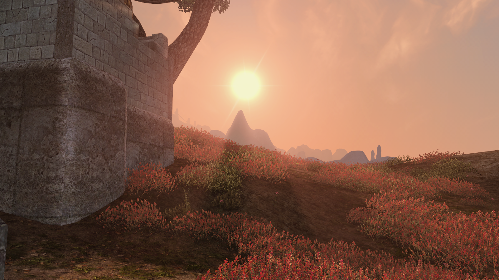 Morrowind fullrest steam фото 13