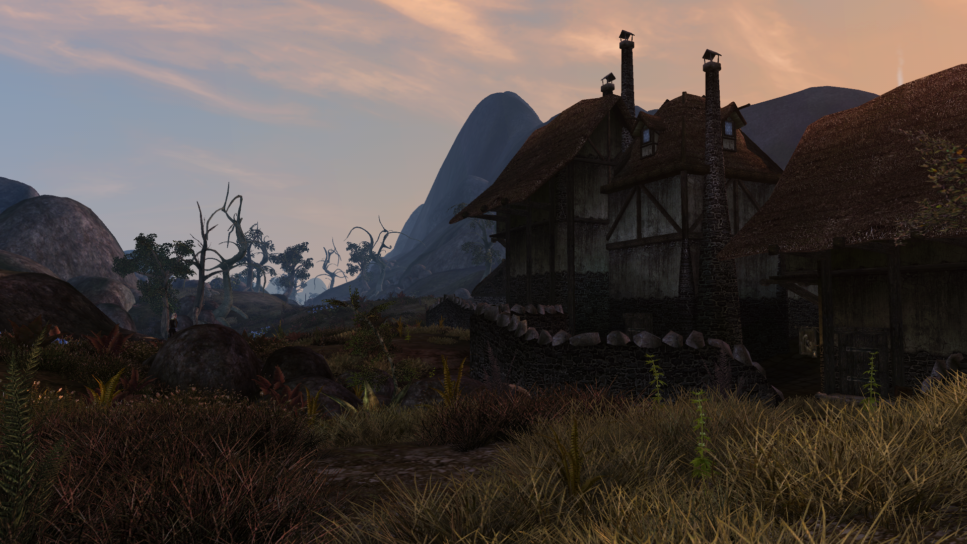 Morrowind fullrest steam фото 3