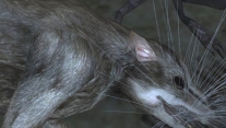 Улучшенные существа - Крысы (рев. 11)