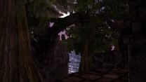 Morrowind Graphics Extender