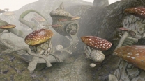 Ретекстур императоских грибов