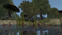 Morrowind Graphics Extender XE (MGE XE)