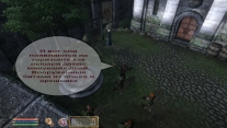 Elder Scrolls 4: Oblivion