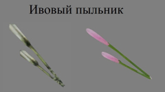 Скриншот